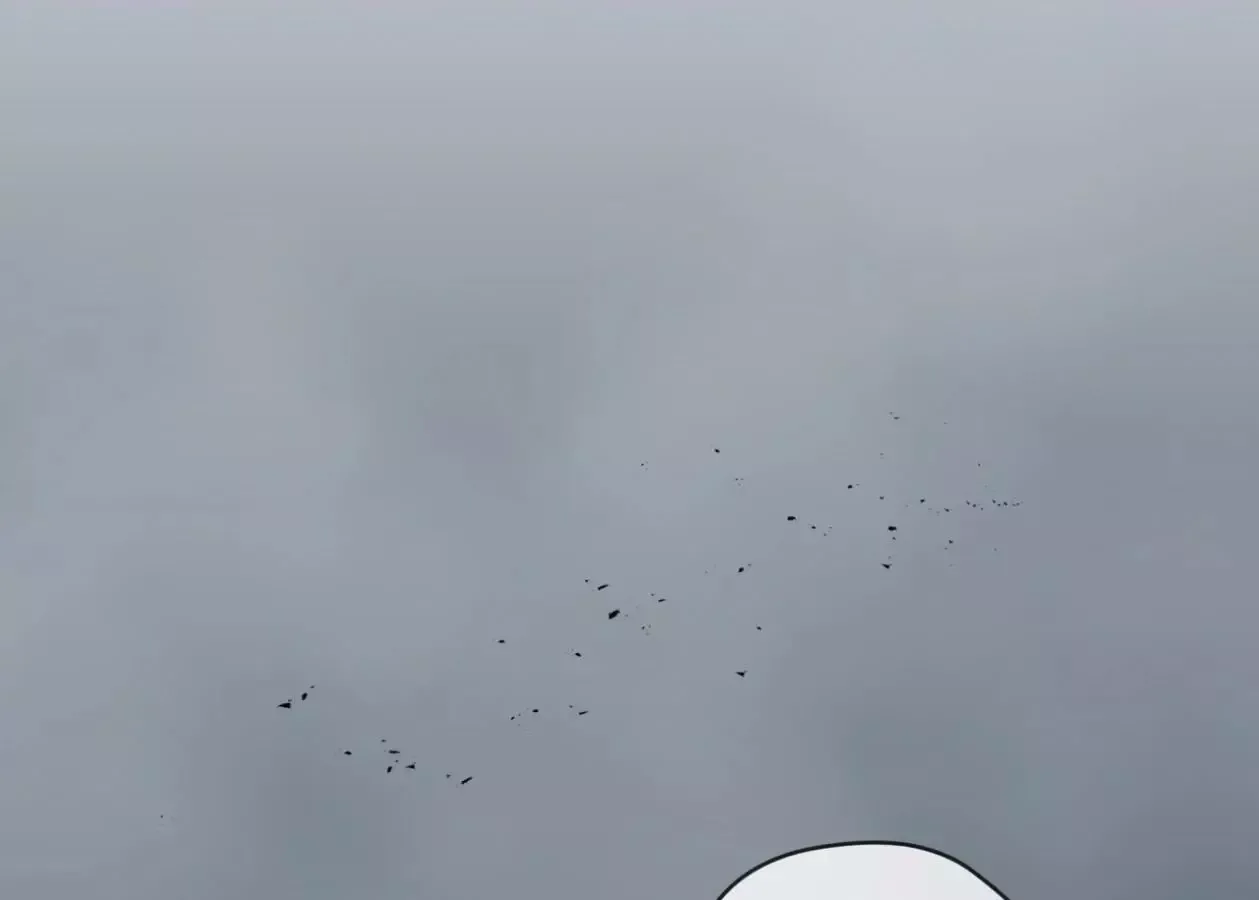Please Add Charcoal Chapter 26 page 82