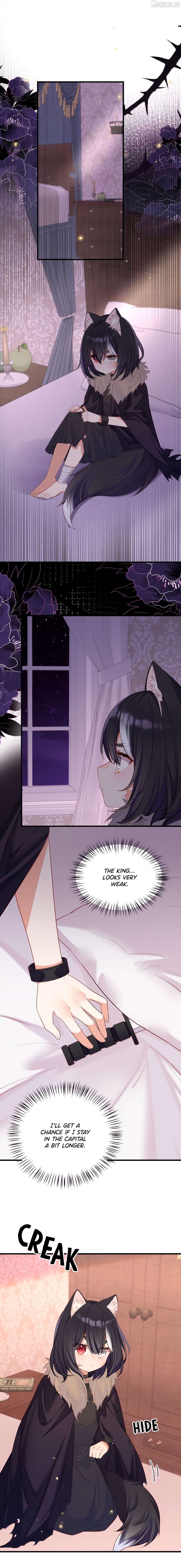 Please Bully Me, Miss Villainess! Please Bully Me, Miss Villainess! Chapter 155 page 10