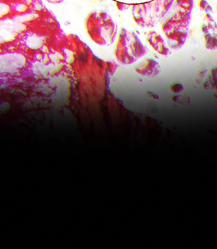 Please Don't Die! Chapter 17 page 64