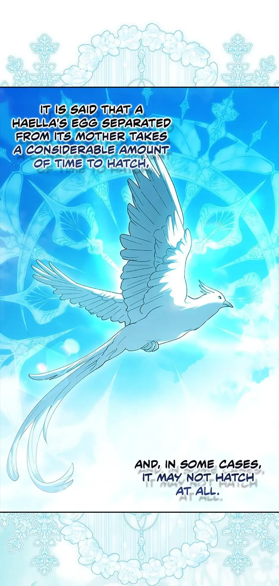 Princess Baekho Is Not Dangerous Chapter 27 page 57