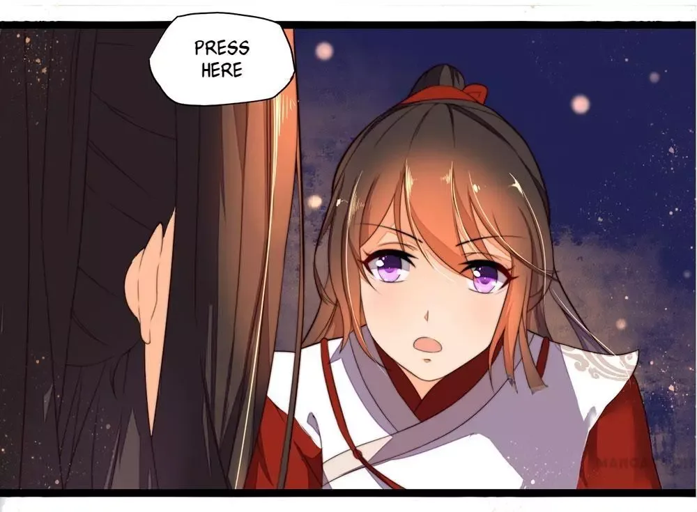 Princess’s Happily-ever-after Marriage Chapter 11 page 5