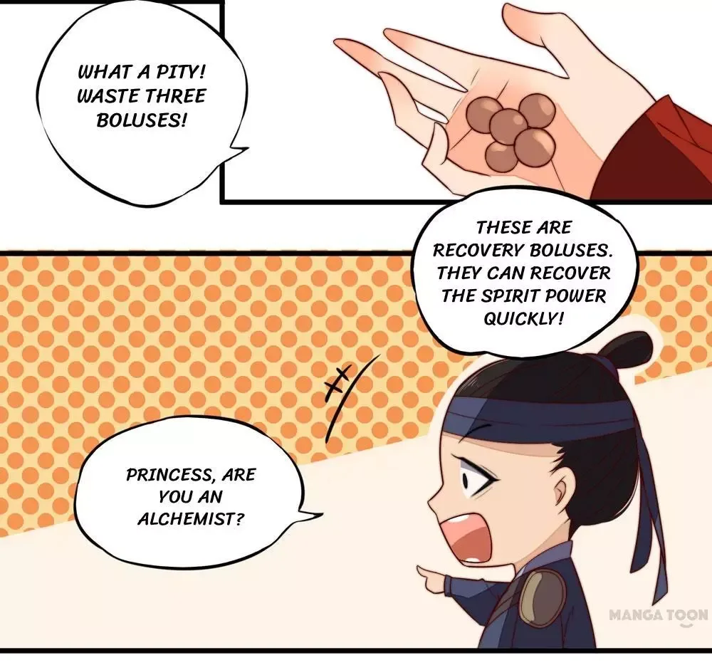 Princess’s Happily-ever-after Marriage Chapter 14 page 2
