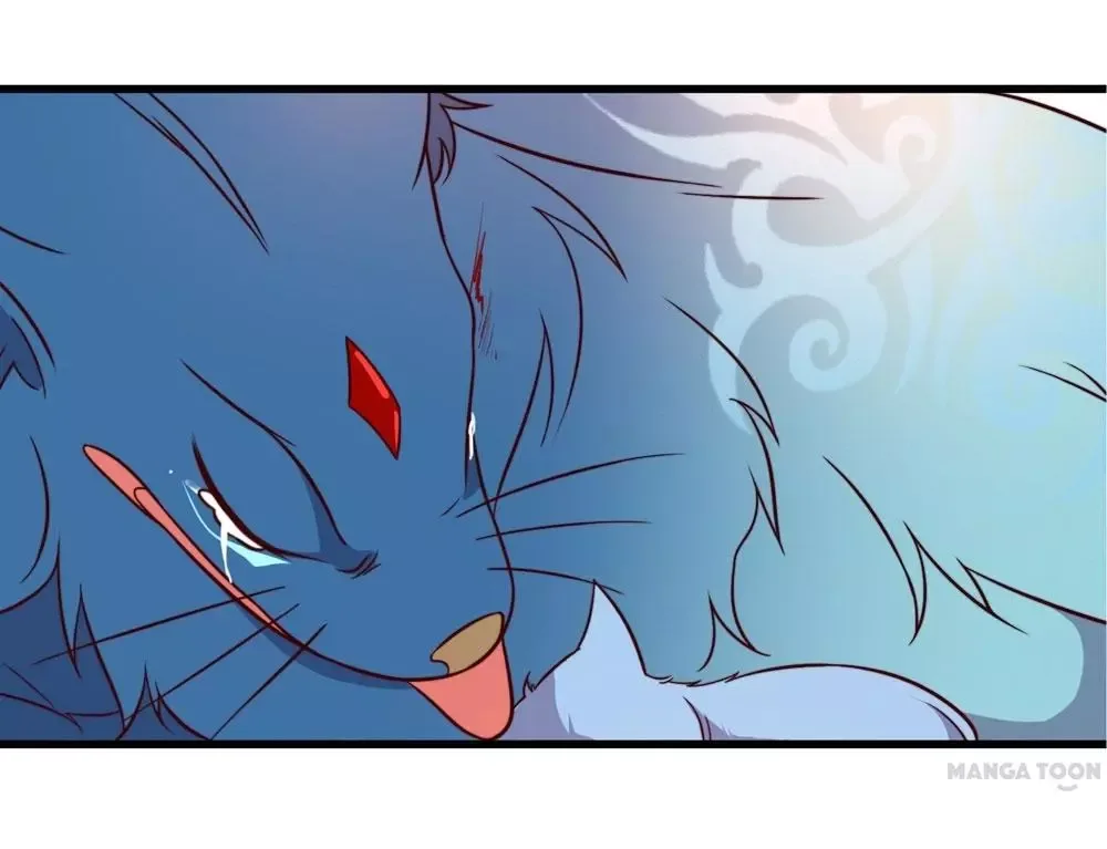 Princess’s Happily-ever-after Marriage Chapter 29 page 11