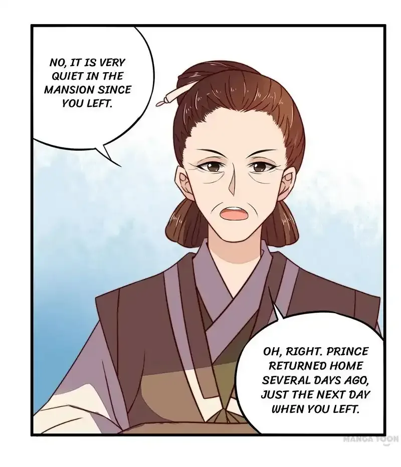 Princess’s Happily-ever-after Marriage Chapter 31 page 11