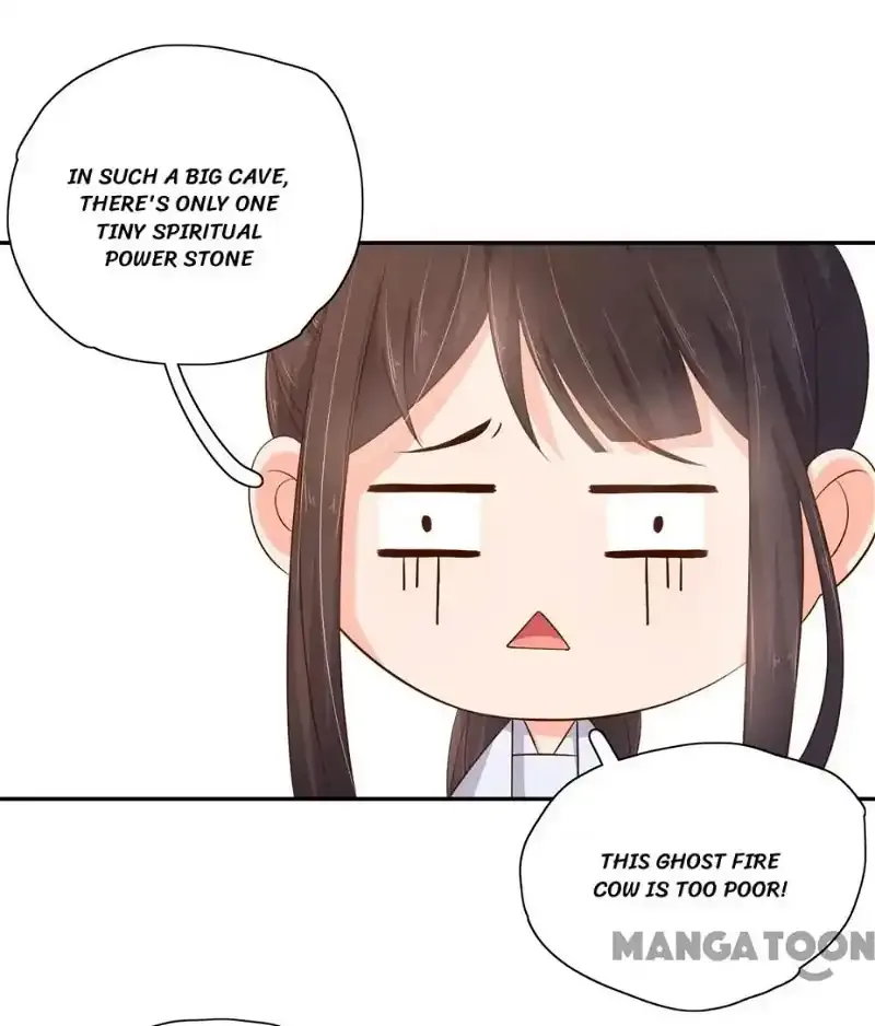 Princess’s Happily-ever-after Marriage Chapter 72 page 11
