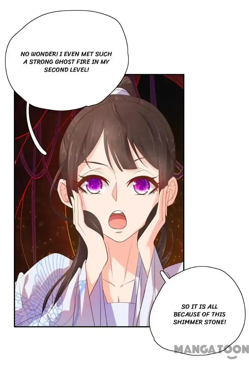 Princess’s Happily-ever-after Marriage Chapter 72 page 13