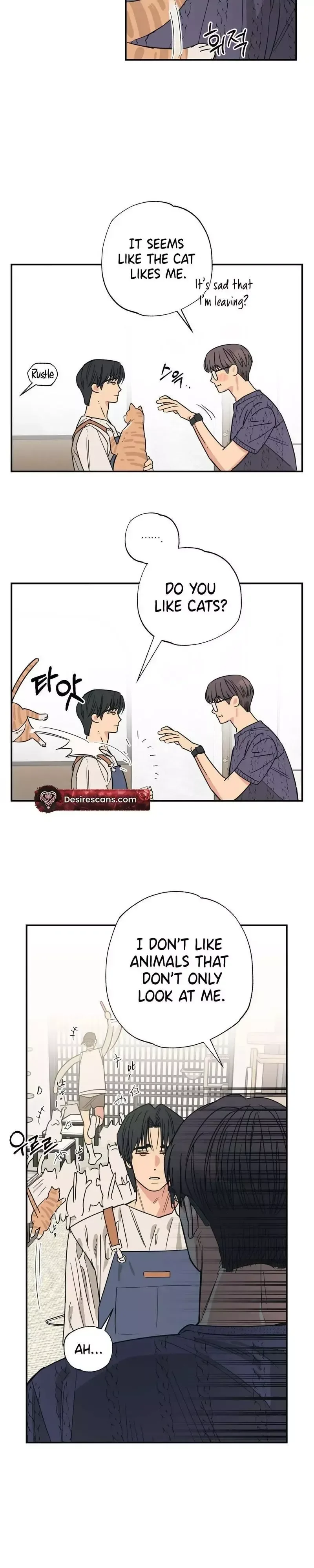 Purrfect Choice Chapter 12 page 21