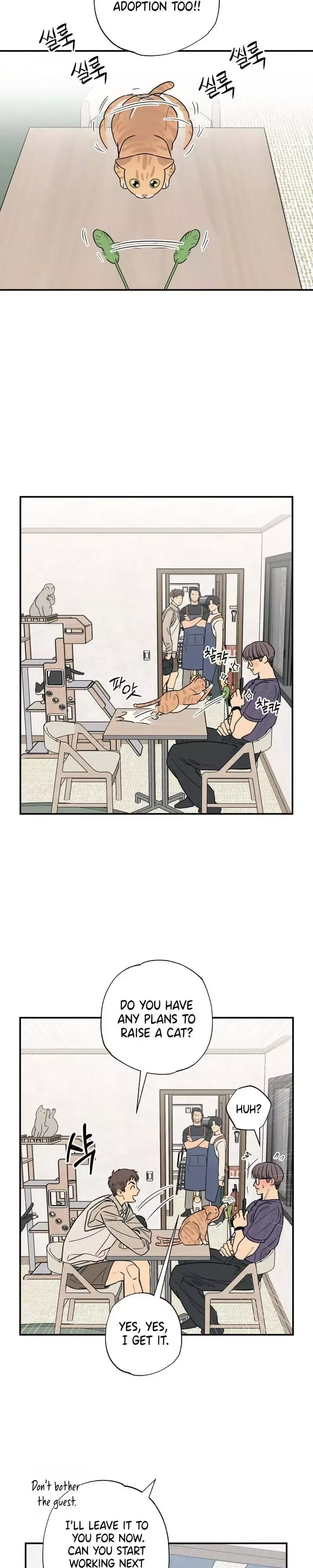 Purrfect Choice Chapter 12 page 14