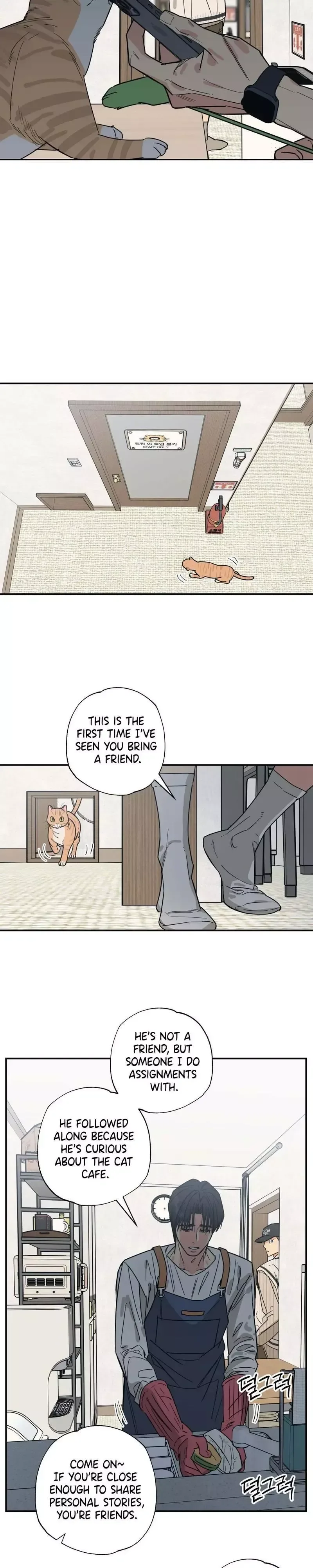 Purrfect Choice Chapter 12 page 16