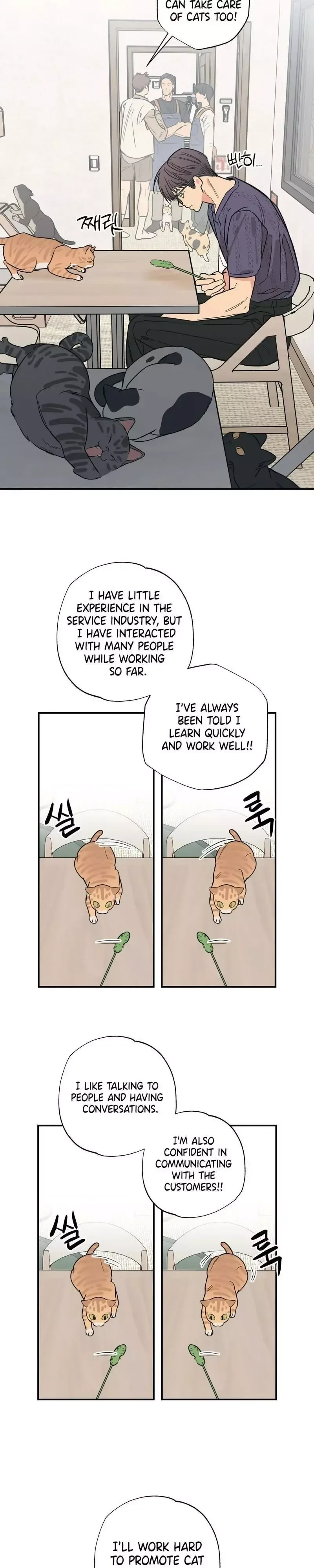 Purrfect Choice Chapter 12 page 13