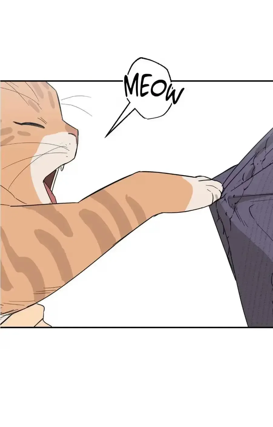 Purrfect Choice Chapter 12 page 60