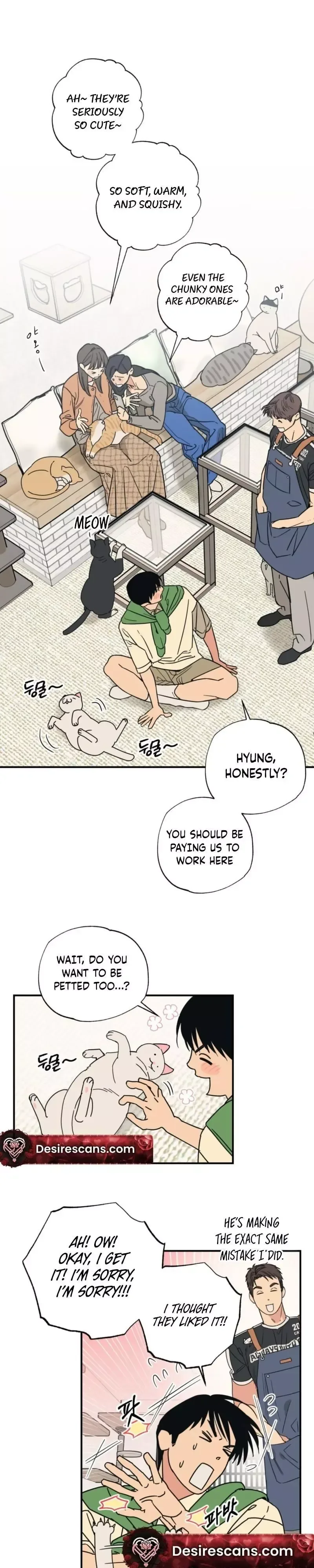 Purrfect Choice Chapter 14 page 3
