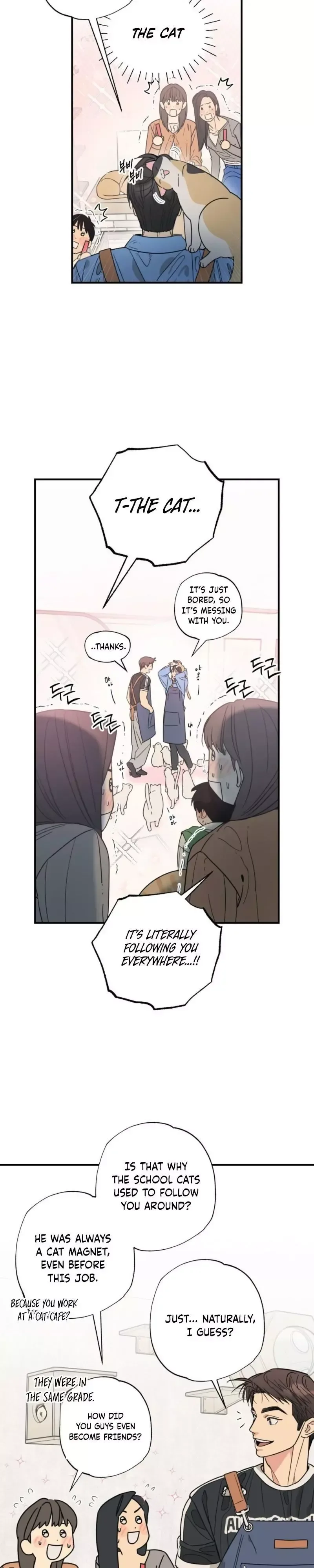 Purrfect Choice Chapter 14 page 5