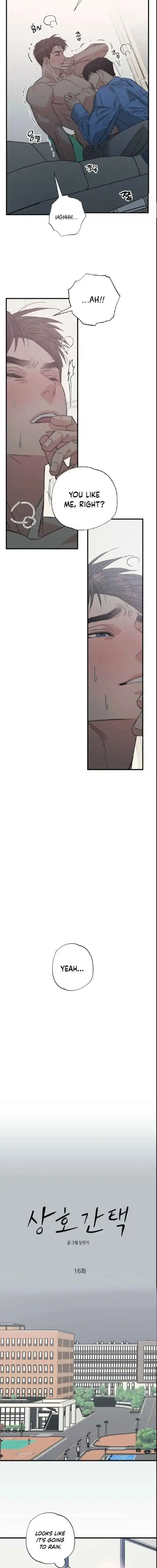 Purrfect Choice Chapter 16 page 9