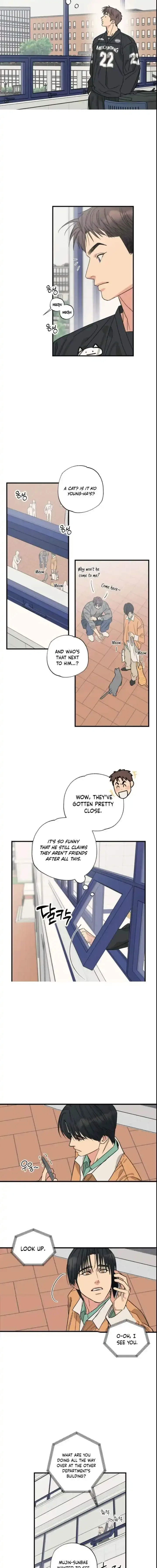 Purrfect Choice Chapter 16 page 10