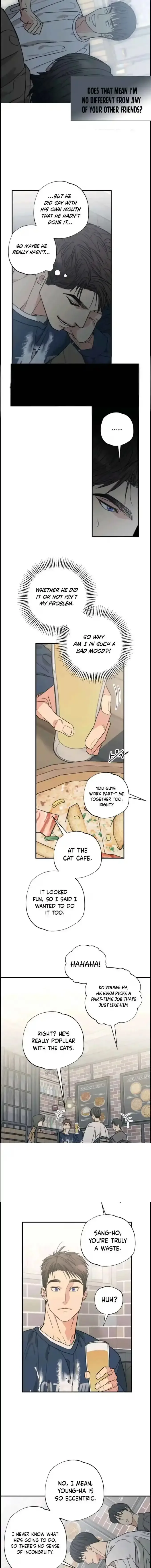 Purrfect Choice Chapter 18 page 5