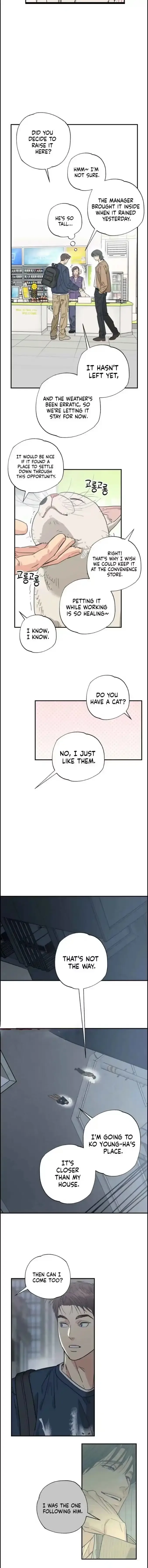 Purrfect Choice Chapter 18 page 9