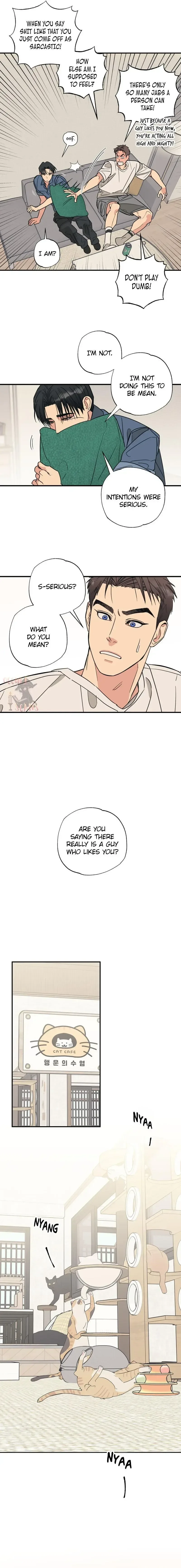 Purrfect Choice Chapter 2 page 13