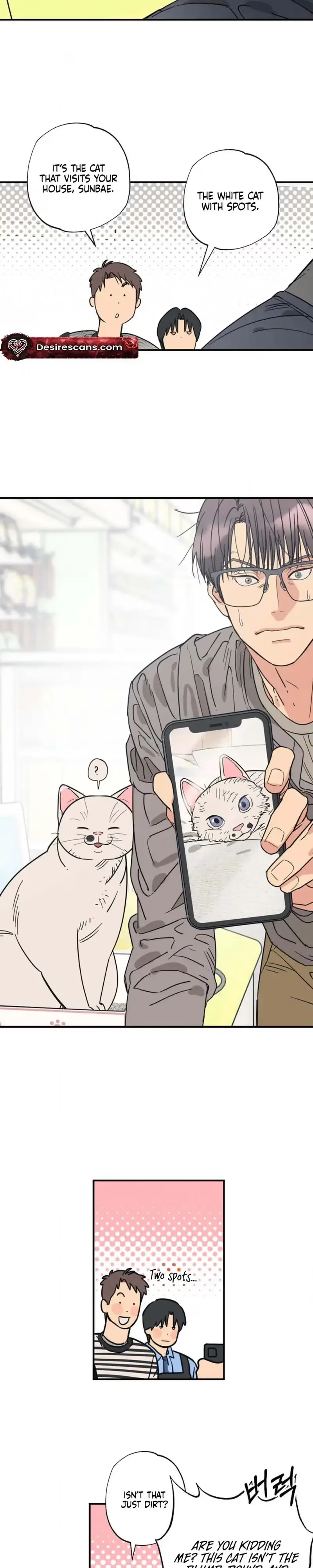 Purrfect Choice Chapter 23 page 10