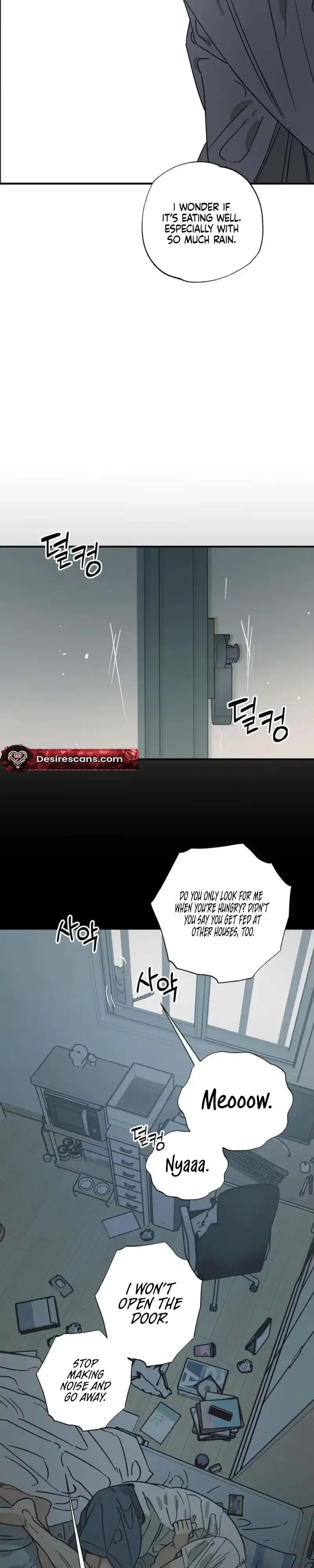 Purrfect Choice Chapter 23 page 12