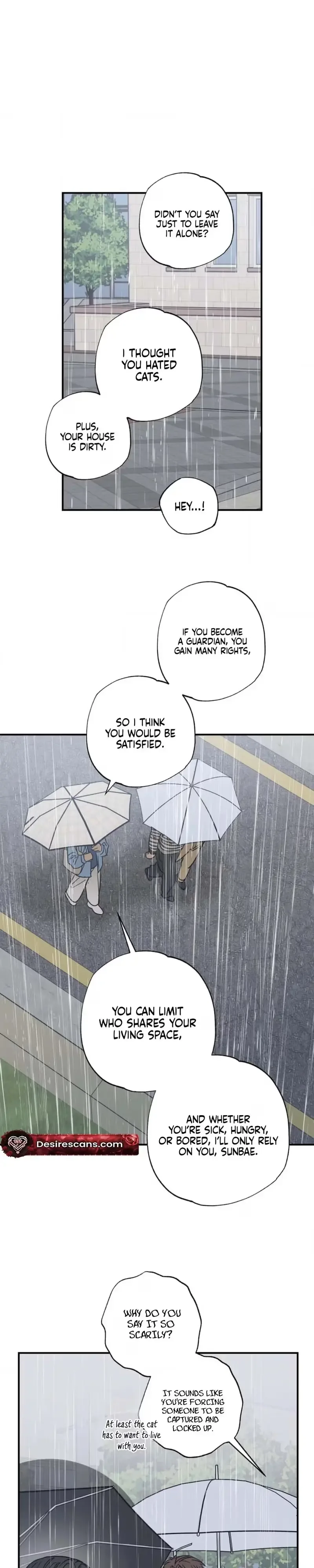 Purrfect Choice Chapter 23 page 6