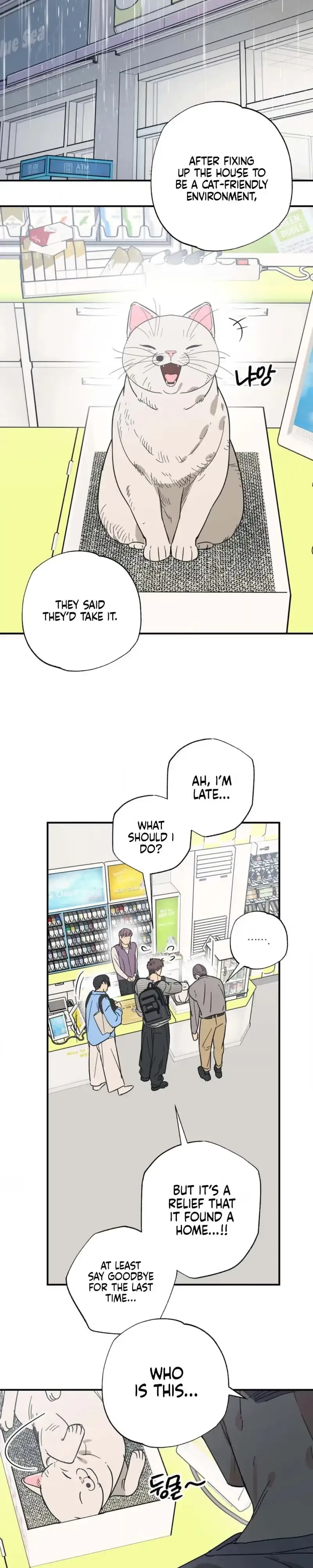Purrfect Choice Chapter 23 page 9