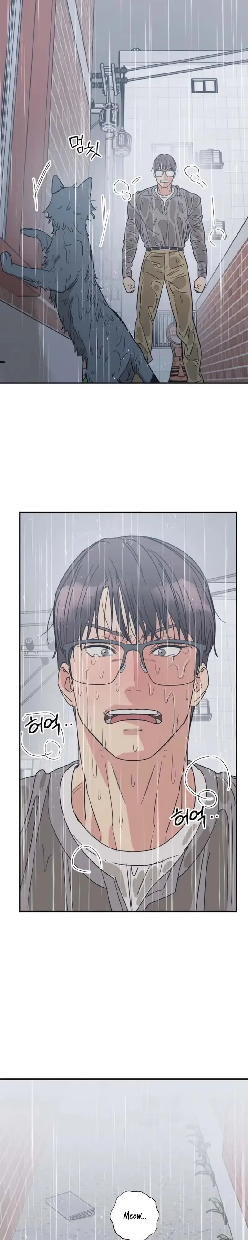 Purrfect Choice Chapter 23 page 17