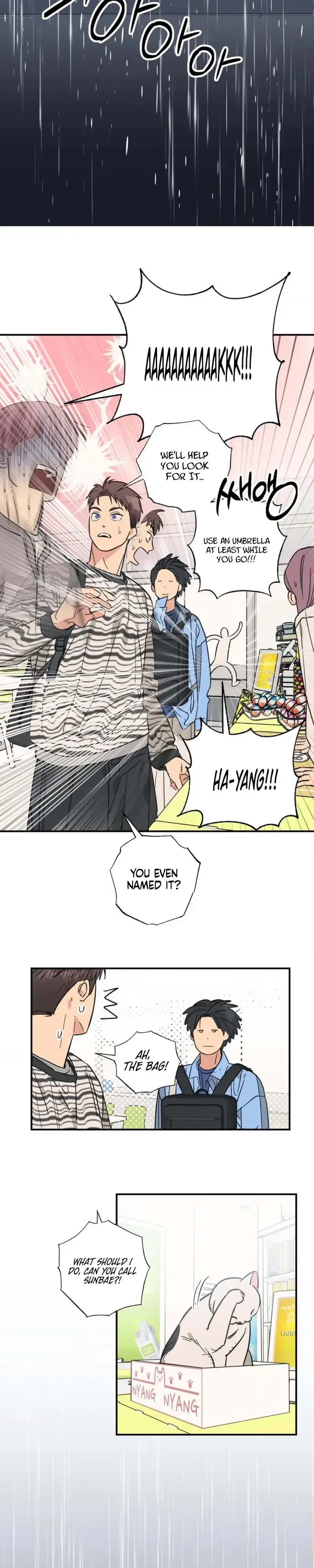 Purrfect Choice Chapter 23 page 15
