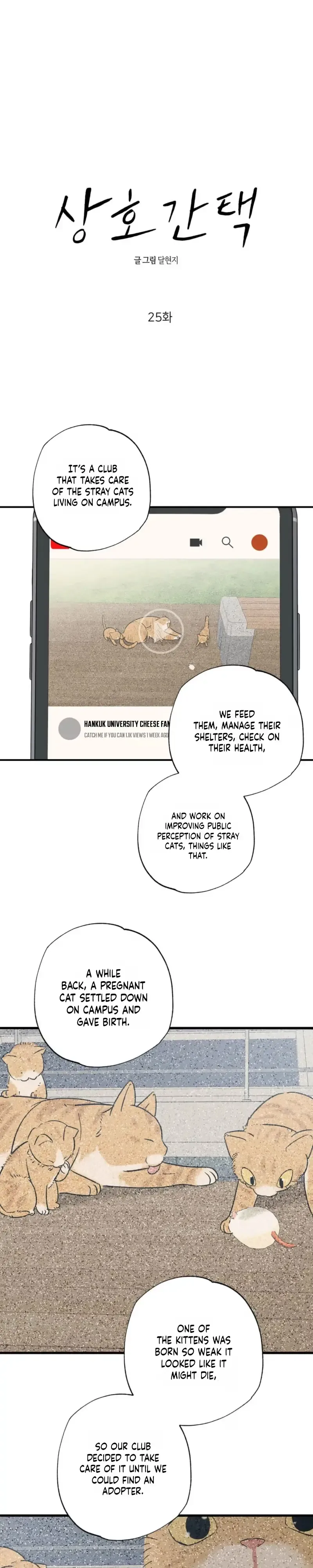 Purrfect Choice Chapter 25 page 7