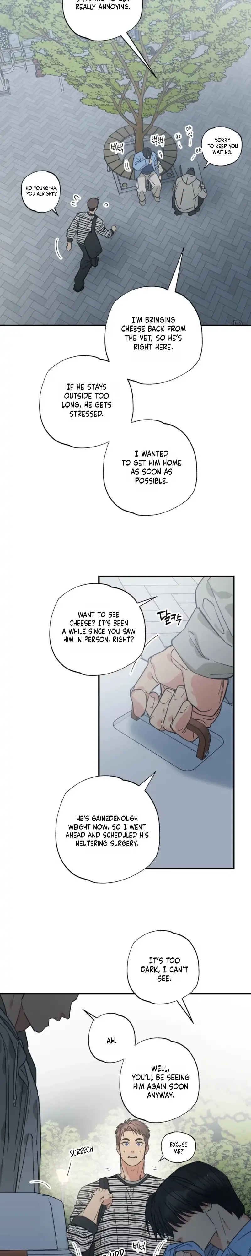 Purrfect Choice Chapter 25 page 3
