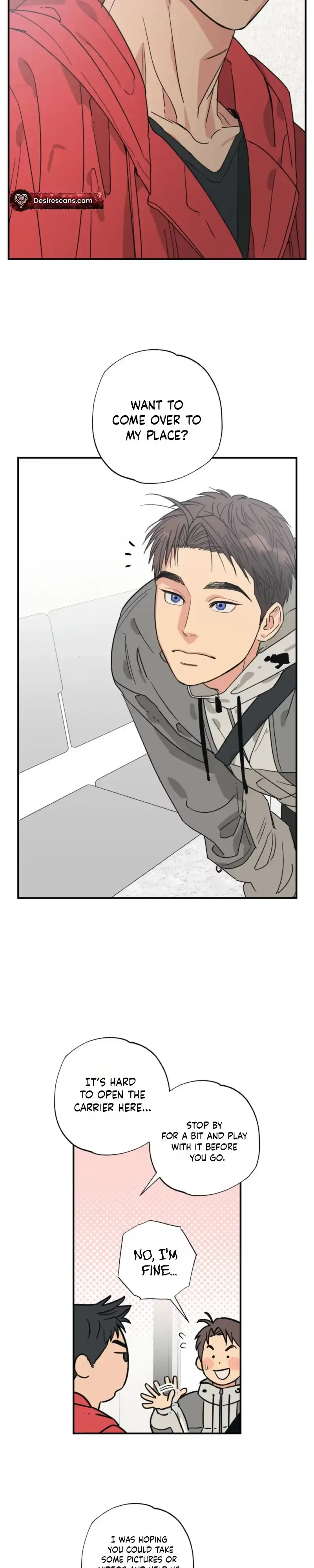Purrfect Choice Chapter 29 page 19