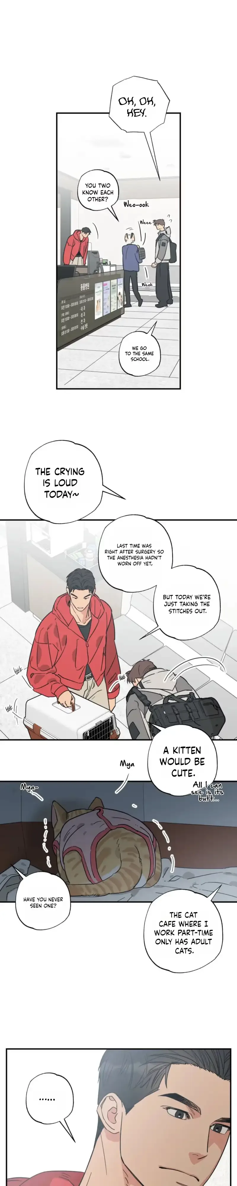 Purrfect Choice Chapter 29 page 18
