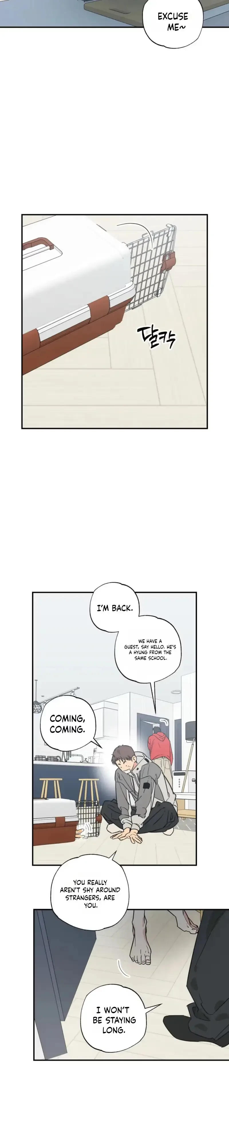Purrfect Choice Chapter 29 page 21