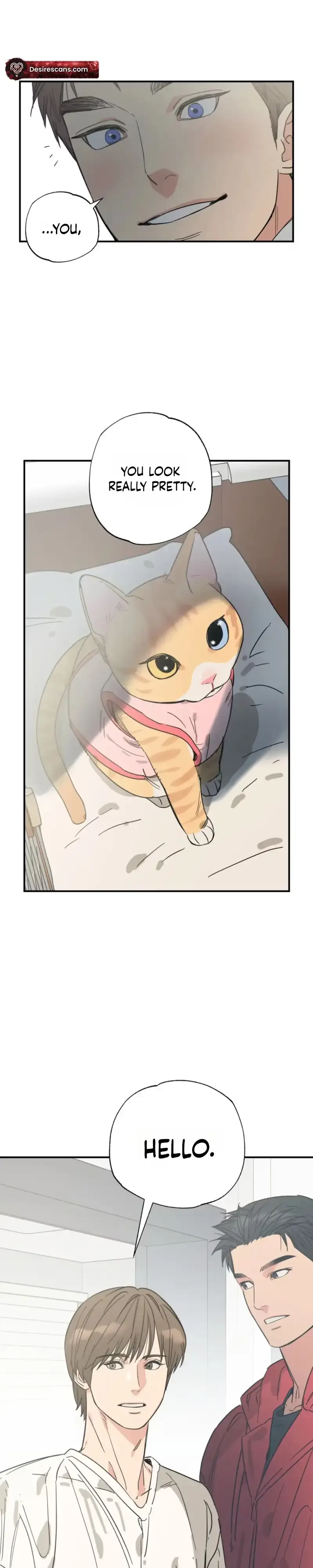 Purrfect Choice Chapter 29 page 22