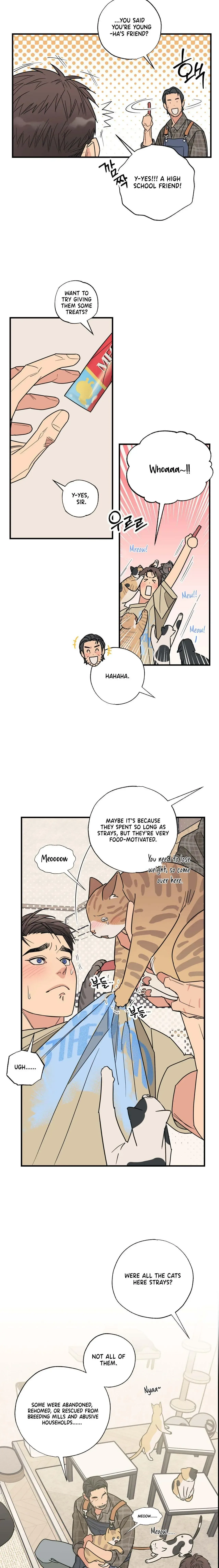 Purrfect Choice Chapter 3 page 7