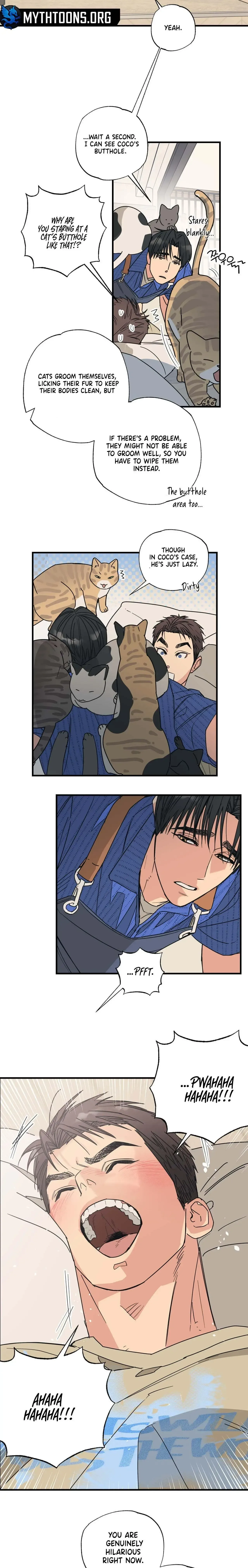 Purrfect Choice Chapter 3 page 13