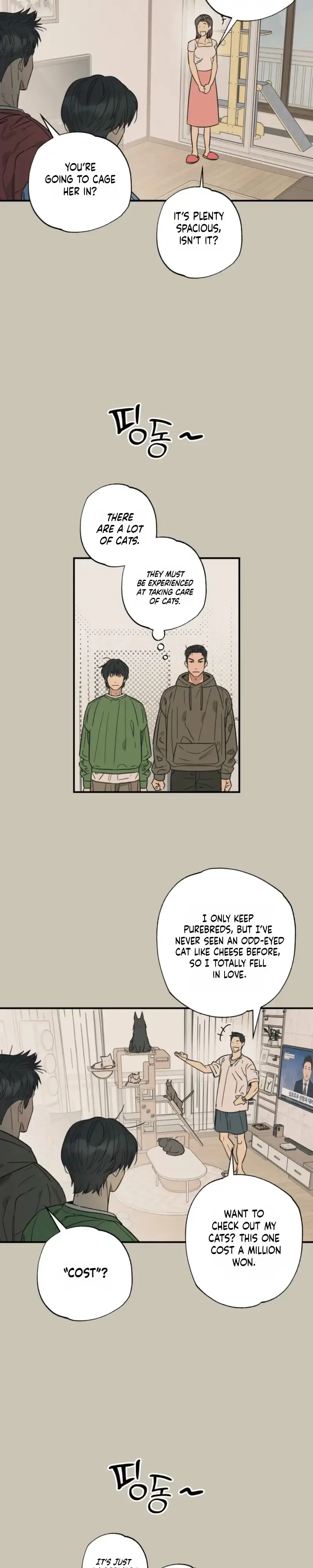 Purrfect Choice Chapter 31 page 10