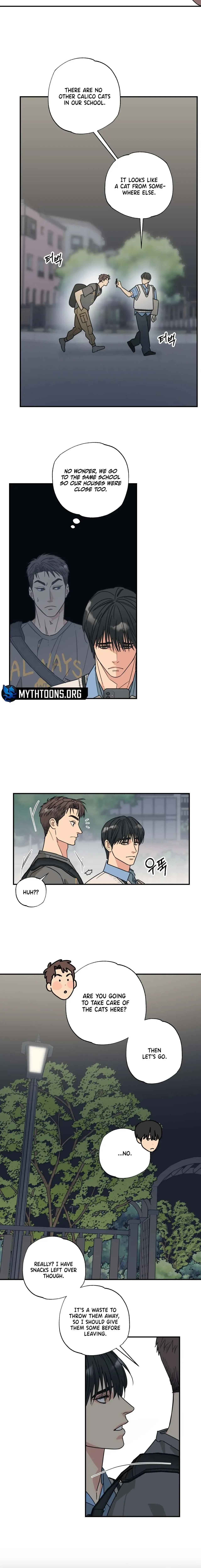 Purrfect Choice Chapter 5 page 5