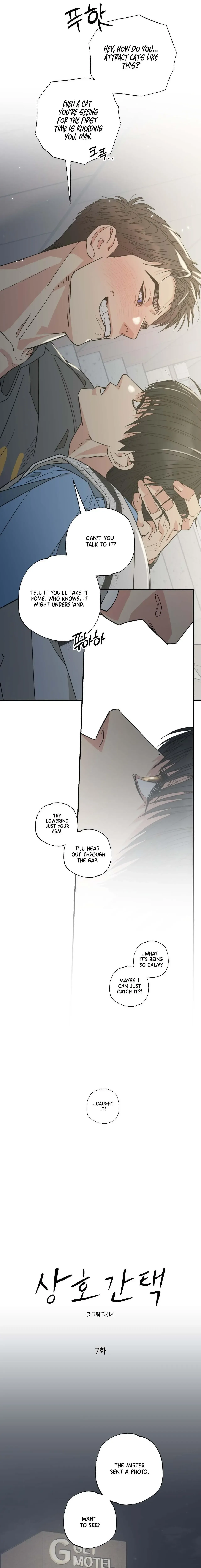 Purrfect Choice Chapter 7 page 8