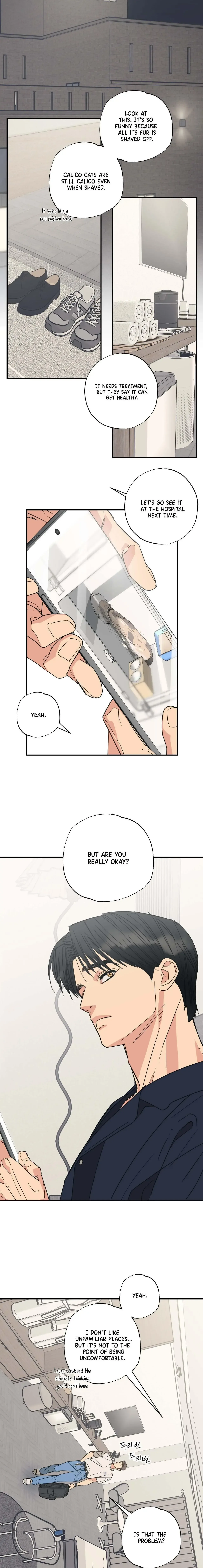 Purrfect Choice Chapter 7 page 9