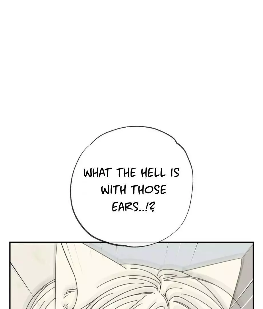 Raising a Cat Friend Chapter 2 page 4