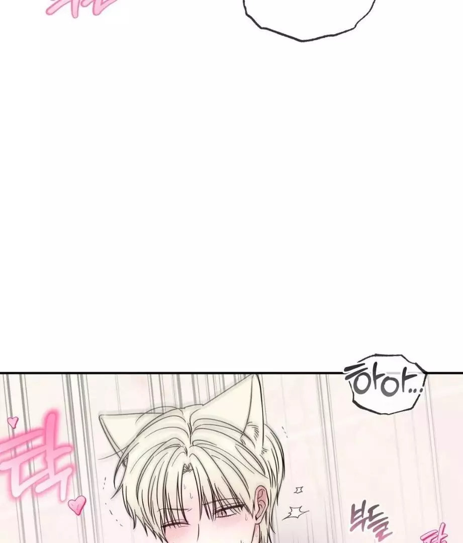 Raising a Cat Friend Chapter 2 page 42