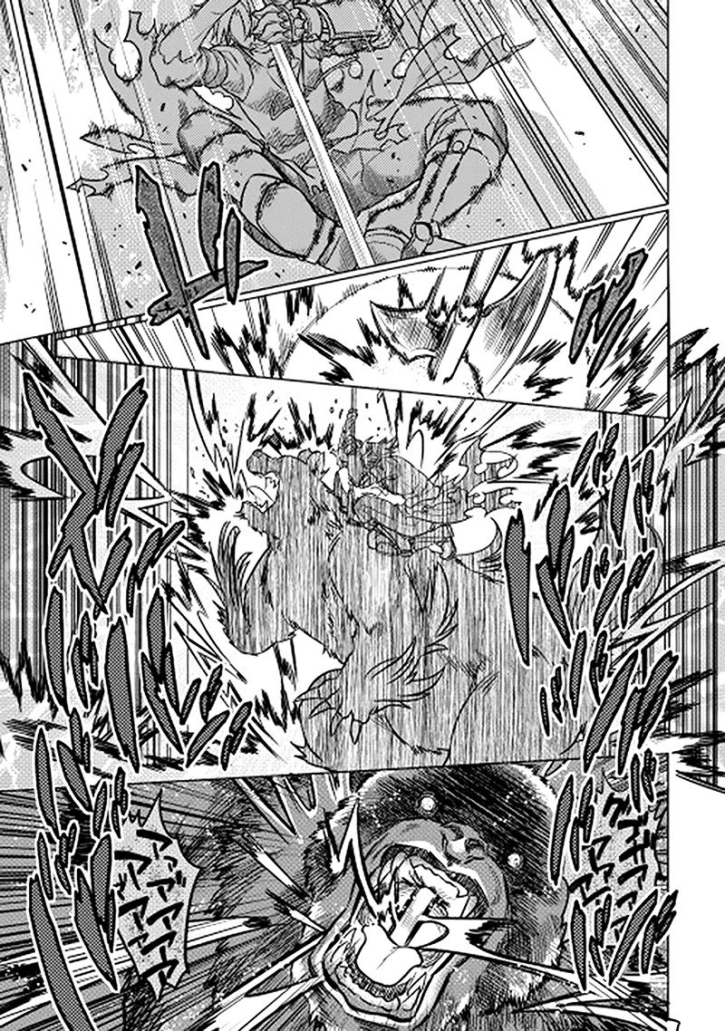 RE:MONSTER Chapter 11 page 15