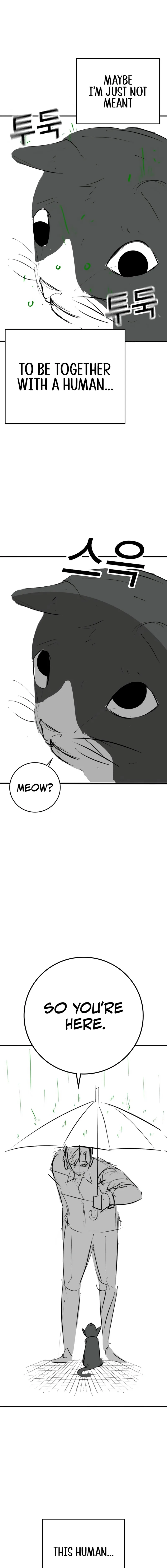 Reality Quest Chapter 164.9 page 16