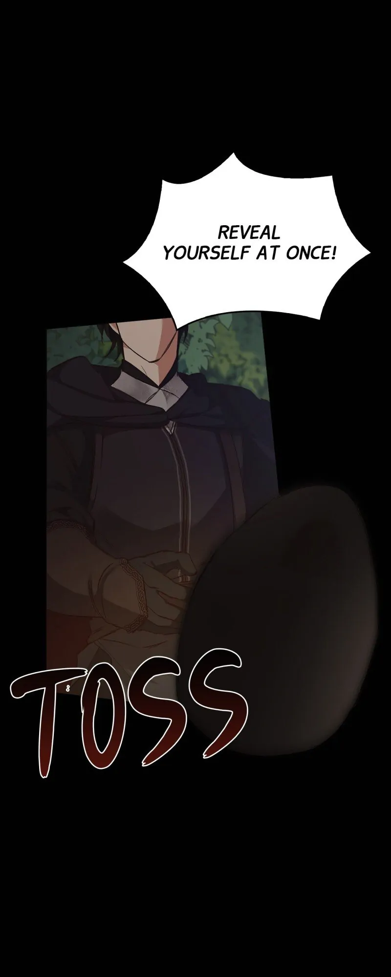 Regas Chapter 29 page 81