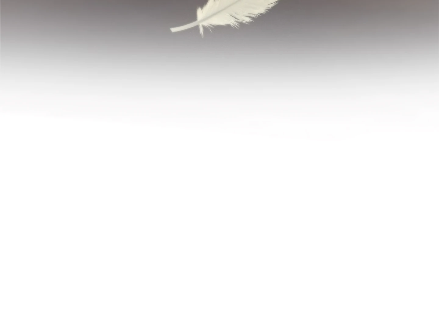 Regas Chapter 81 page 212