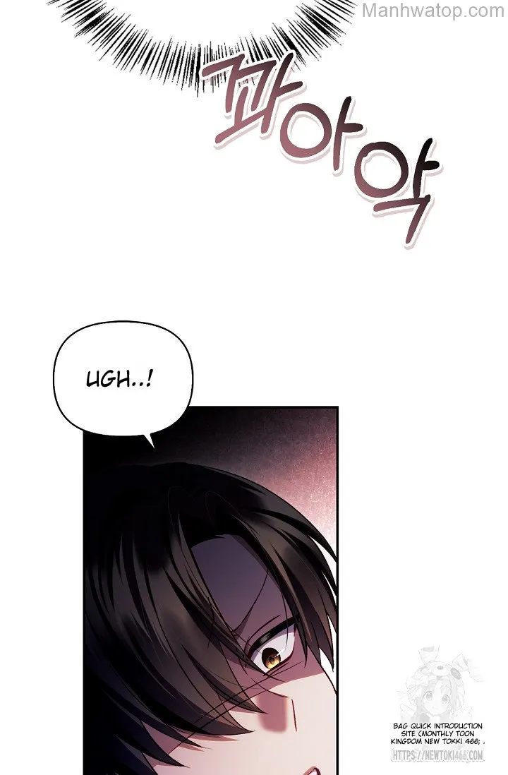 Regressor Instruction Manual Chapter 121 page 35