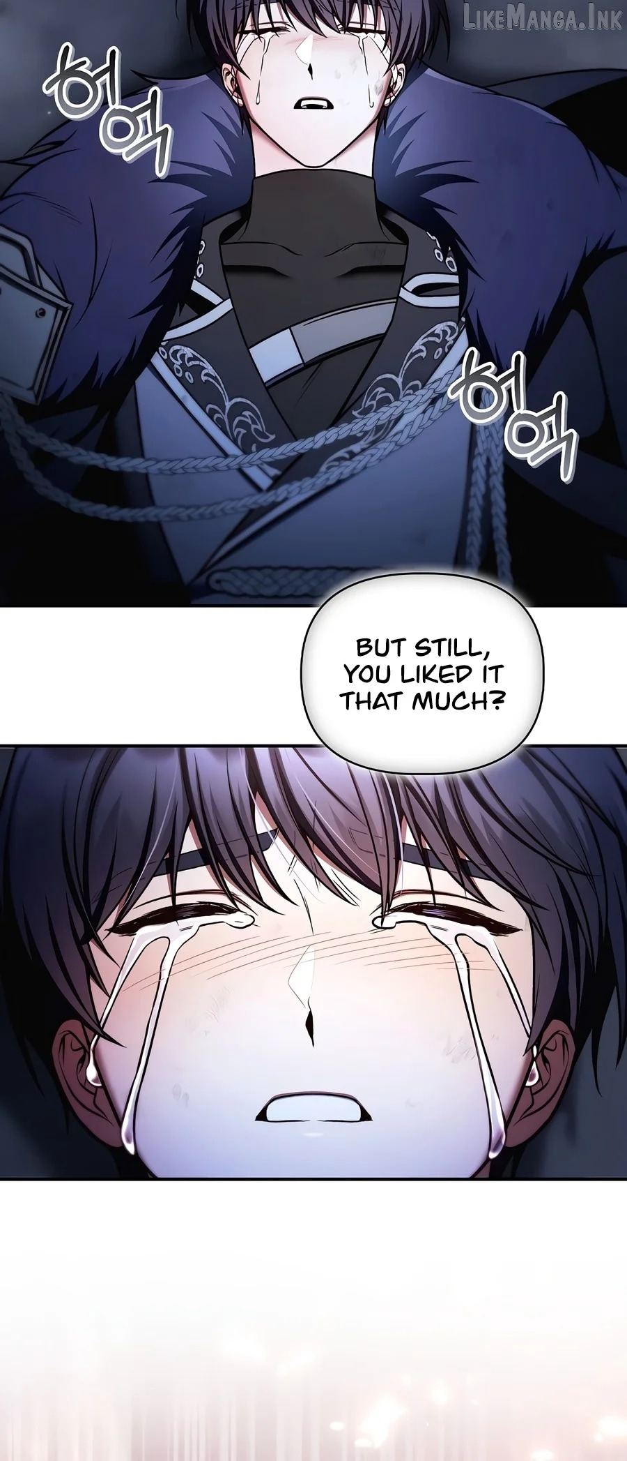 Regressor Instruction Manual Chapter 201 page 17