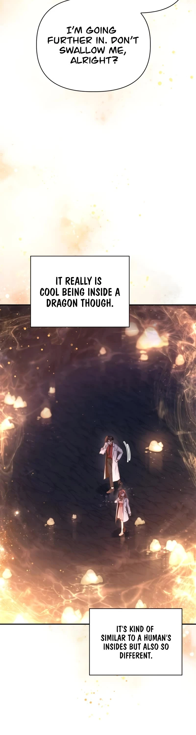 Regressor Instruction Manual Chapter 91 page 7