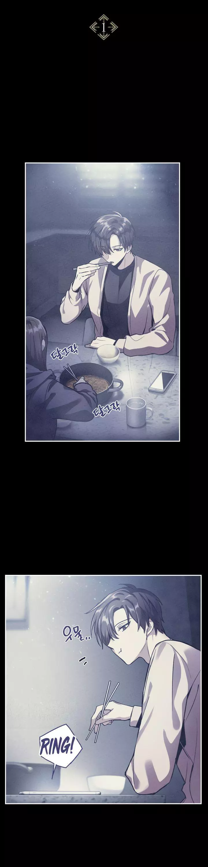 Regressor instructional manual Chapter 1 page 10